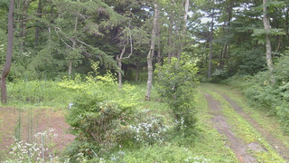 長野県菅平高原 ゆたか山荘 坂上 2026/07/29 13:00