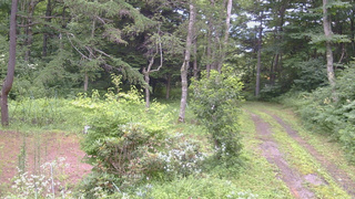 長野県菅平高原 ゆたか山荘 坂上 2026/07/29 13:15