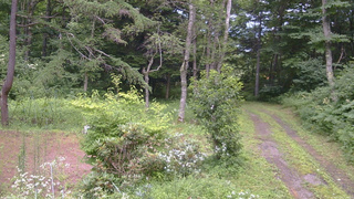 長野県菅平高原 ゆたか山荘 坂上 2026/07/29 13:30