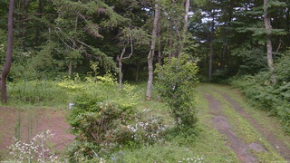 長野県菅平高原 ゆたか山荘 坂上 2026/07/29 14:00