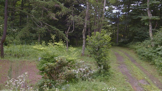 長野県菅平高原 ゆたか山荘 坂上 2026/07/29 14:15