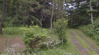 長野県菅平高原 ゆたか山荘 坂上 2026/07/29 14:30