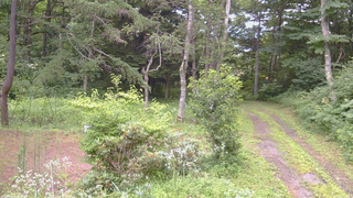 長野県菅平高原 ゆたか山荘 坂上 2026/07/29 14:45