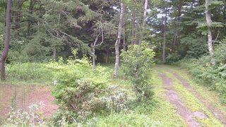 長野県菅平高原 ゆたか山荘 坂上 2026/07/29 15:00