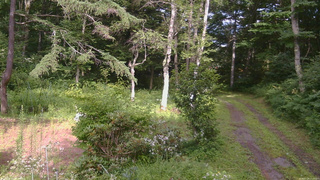 長野県菅平高原 ゆたか山荘 坂上 2026/07/29 15:15