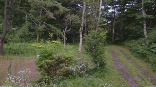 長野県菅平高原 ゆたか山荘 坂上 2026/07/29 15:30