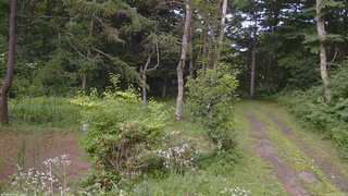 長野県菅平高原 ゆたか山荘 坂上 2026/07/29 15:45