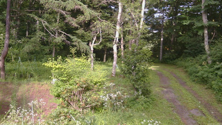 長野県菅平高原 ゆたか山荘 坂上 2026/07/29 16:00