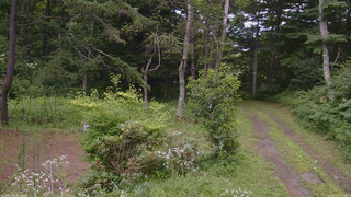 長野県菅平高原 ゆたか山荘 坂上 2026/07/29 16:15