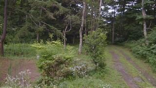 長野県菅平高原 ゆたか山荘 坂上 2026/07/29 16:30