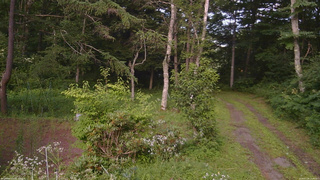 長野県菅平高原 ゆたか山荘 坂上 2026/07/29 16:45