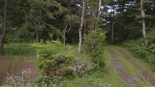 長野県菅平高原 ゆたか山荘 坂上 2026/07/29 17:00