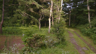 長野県菅平高原 ゆたか山荘 坂上 2026/07/29 17:15
