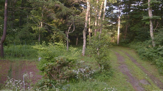 長野県菅平高原 ゆたか山荘 坂上 2026/07/29 17:30