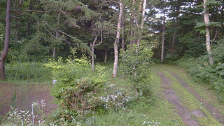 長野県菅平高原 ゆたか山荘 坂上 2026/07/29 17:45