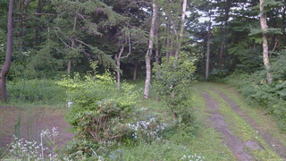 長野県菅平高原 ゆたか山荘 坂上 2026/07/29 18:00