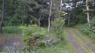 長野県菅平高原 ゆたか山荘 坂上 2026/07/29 18:15