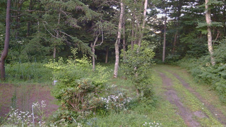長野県菅平高原 ゆたか山荘 坂上 2026/07/29 18:30