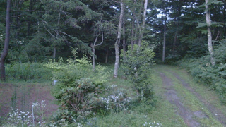 長野県菅平高原 ゆたか山荘 坂上 2026/07/29 19:00