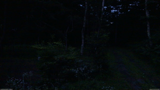 長野県菅平高原 ゆたか山荘 坂上 2026/07/29 19:15