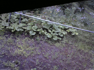 長野県菅平高原 ゆたか山荘 駐車場 2026/07/30 05:00