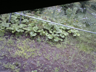 長野県菅平高原 ゆたか山荘 駐車場 2026/07/30 05:45