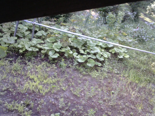 長野県菅平高原 ゆたか山荘 駐車場 2026/07/30 06:45