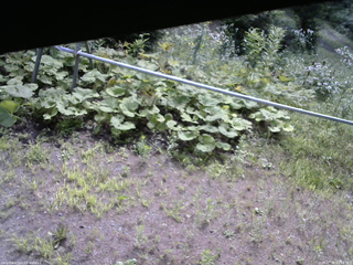 長野県菅平高原 ゆたか山荘 駐車場 2026/07/30 09:00
