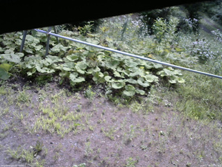 長野県菅平高原 ゆたか山荘 駐車場 2026/07/30 09:15