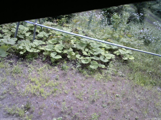 長野県菅平高原 ゆたか山荘 駐車場 2026/07/30 09:30