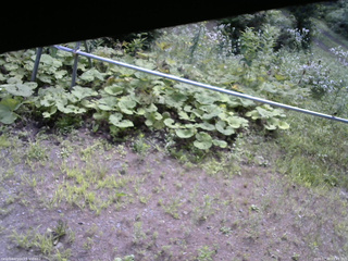 長野県菅平高原 ゆたか山荘 駐車場 2026/07/30 09:45