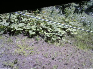 長野県菅平高原 ゆたか山荘 駐車場 2026/07/30 10:00