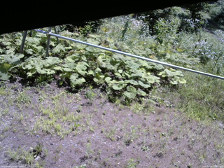長野県菅平高原 ゆたか山荘 駐車場 2026/07/30 10:15