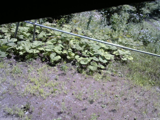 長野県菅平高原 ゆたか山荘 駐車場 2026/07/30 10:30