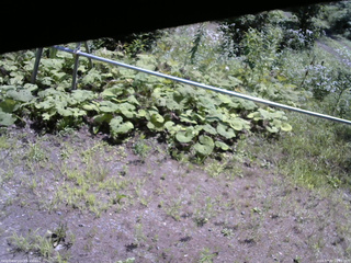 長野県菅平高原 ゆたか山荘 駐車場 2026/07/30 10:45