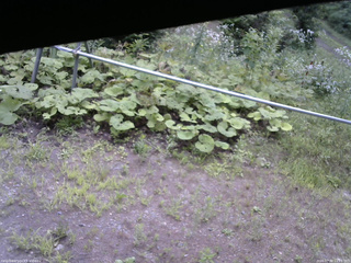 長野県菅平高原 ゆたか山荘 駐車場 2026/07/30 11:15