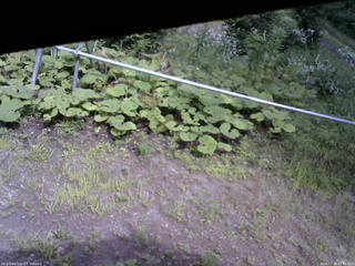 長野県菅平高原 ゆたか山荘 駐車場 2026/07/30 14:30