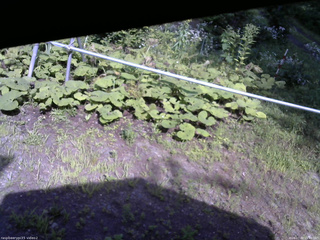 長野県菅平高原 ゆたか山荘 駐車場 2026/07/30 15:00