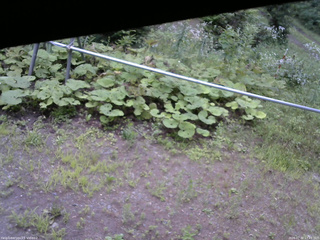 長野県菅平高原 ゆたか山荘 駐車場 2026/07/30 17:45
