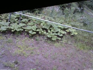 長野県菅平高原 ゆたか山荘 駐車場 2026/07/30 18:30