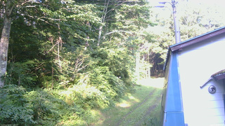長野県菅平高原 ゆたか山荘 ゆたか山荘 2026/07/30 06:15