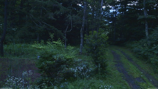 長野県菅平高原 ゆたか山荘 坂上 2026/07/30 05:00