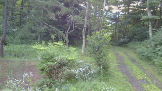 長野県菅平高原 ゆたか山荘 坂上 2026/07/30 05:15