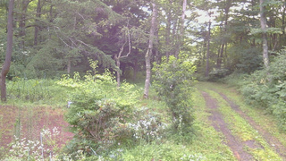 長野県菅平高原 ゆたか山荘 坂上 2026/07/30 05:30