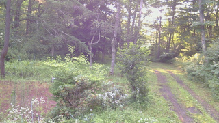 長野県菅平高原 ゆたか山荘 坂上 2026/07/30 05:45