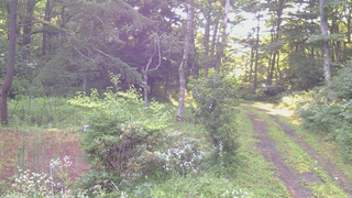 長野県菅平高原 ゆたか山荘 坂上 2026/07/30 06:00
