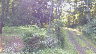 長野県菅平高原 ゆたか山荘 坂上 2026/07/30 06:15