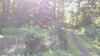 長野県菅平高原 ゆたか山荘 坂上 2026/07/30 06:30
