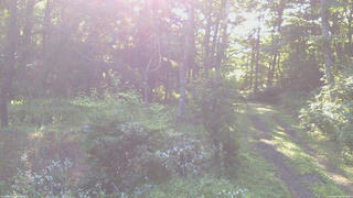 長野県菅平高原 ゆたか山荘 坂上 2026/07/30 06:45