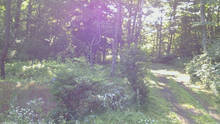 長野県菅平高原 ゆたか山荘 坂上 2026/07/30 07:15